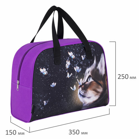 Сумка для занятий BRAUBERG с ручками, 35x25x15 см, "Dream cat", 271592