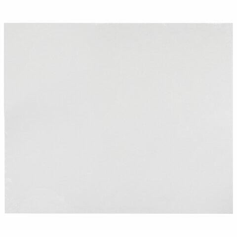 Холст на картоне, 25х30 см, грунтованный, хлопок, мелкое зерно, BRAUBERG ART CLASSIC, 191670