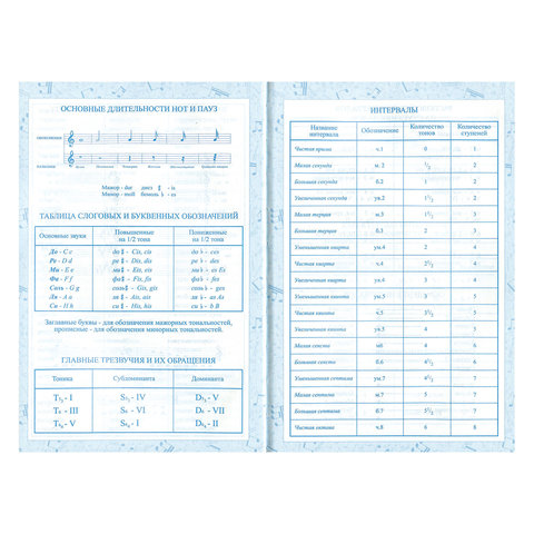 Дневник для музыкальной школы 140х210 мм, 48 л., твердый, BRAUBERG, справочный материал, "Музыка", 104975