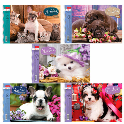 Альбом для рисования, А4, 40 листов, спираль, обложка картон, HATBER, 205х300 мм, "Любимцы" (5 видов), 004142, 40А4Всп