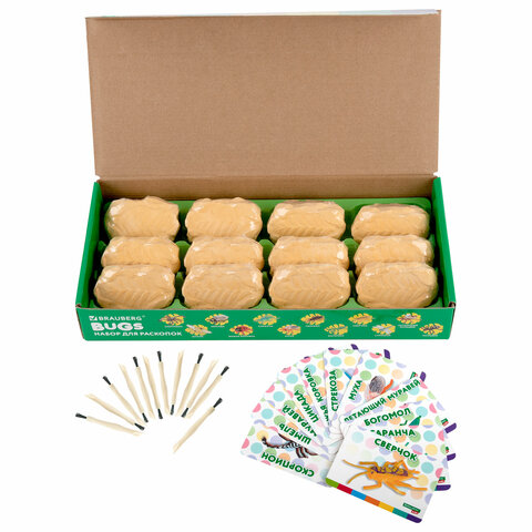 Набор для раскопок "Насекомые", 12 видов, карточки, инструменты, BRAUBERG KIDS, 665127