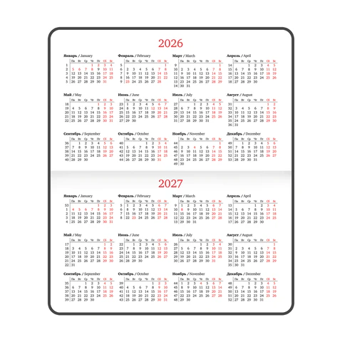 Еженедельник датированный 2026, МАЛЫЙ ФОРМАТ 95х155 мм, А6, BRAUBERG "Select", балакрон, черный, 117193