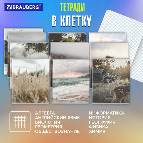 Тетради предметные, КОМПЛЕКТ 12 ПРЕДМЕТОВ, 48 л., SoftTouch, BRAUBERG, "ESTHETICS", 404833