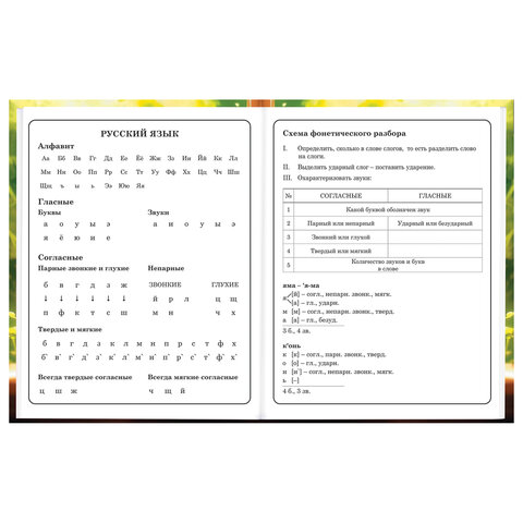 Дневник 1-4 класс 48 л., твердый, BRAUBERG, глянцевая ламинация, с подсказом, "Котик и арбузик", 107153