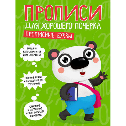 Прописи "ДЛЯ ХОРОШЕГО ПОЧЕРКА", АССОРТИ, А4, 195х276 мм, 16 стр., ПП