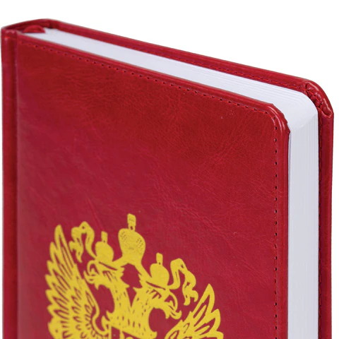 Ежедневник датированный 2026 А5 138х213 мм, BRAUBERG "State", под кожу, красный, 117414