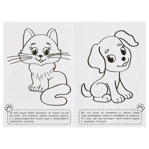 Книжка-раскраска "ПОПУЛЯРНЫЕ СЮЖЕТЫ" АССОРТИ, 145х210 мм, 16 страниц, "УМКА"