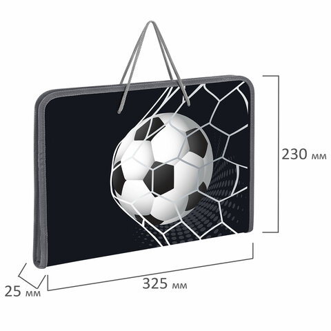Папка для труда на молнии с ручками ПИФАГОР А4, 1 отделение, пластик, органайзер, "Ball kick", 272229