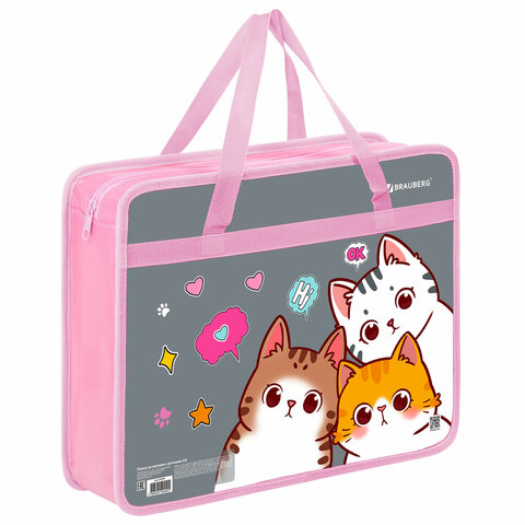 Папка на молнии с ручками BRAUBERG А4, 1 отделение, пластик, 80 мм, "Hi there", 273370