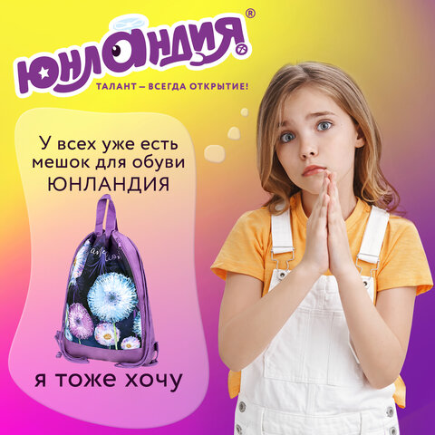 Мешок для обуви ЮНЛАНДИЯ с ручками, боковой карман на молнии, 46х36 см, "Flowers", 271065