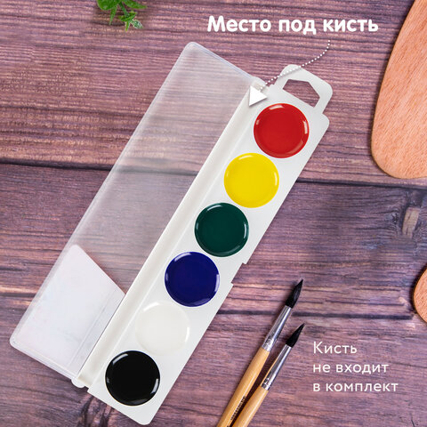 Краски акварельные BRAUBERG "МАГИЯ ЦВЕТА NEW", медовые, 6 цветов, круглые кюветы, пластик, 192285