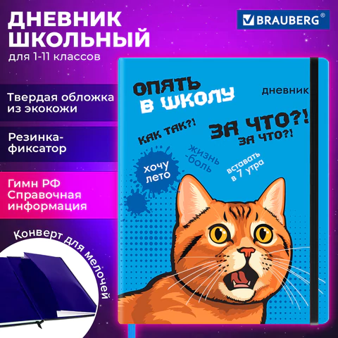 Дневник 1-11 класс 48 л., кожзам (твердая), печать, резинка, конверт, BRAUBERG, "Опять в школу", 107231