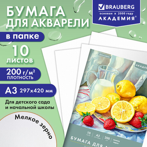 Папка для акварели БОЛЬШАЯ А3, 297х420 мм, 10 листов, 200 г/м, BRAUBERG АКАДЕМИЯ (ДЭК) "Натюрморт", 117741