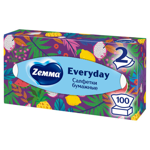 Салфетки косметические 100 штук в картонном боксе, 2-слойные, ZEMMA/ZEWA Everyday, 62861