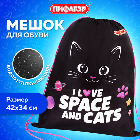 Мешок для обуви ПИФАГОР, 1 отделение, 42х34 см, "Dark kitten", 273419