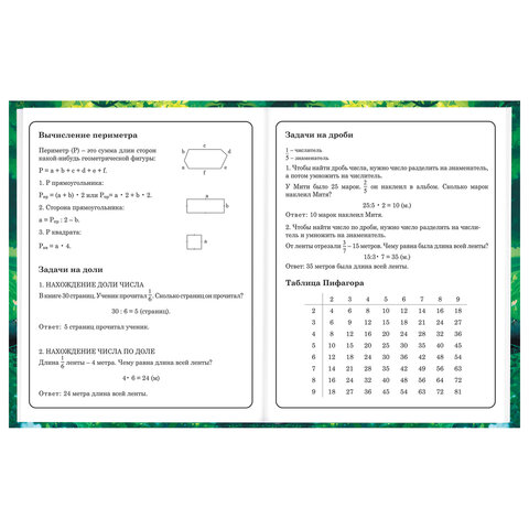 Дневник 1-4 класс 48 л., твердый, BRAUBERG, глянцевая ламинация, с подсказом, "Панда", 107158.