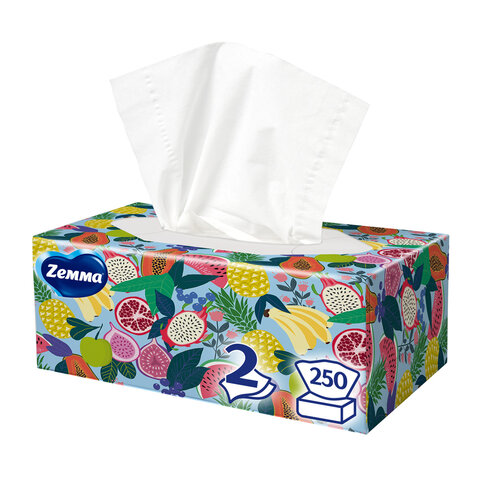 Салфетки косметические 2-слойные в картонном коробе, 250 штук, ZEMMA/ZEWA Everyday, 86791