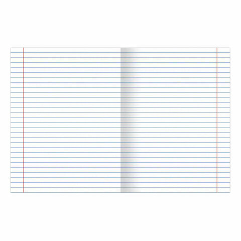 Тетради предметные, КОМПЛЕКТ 12 ПРЕДМЕТОВ, 48 л., обложка картон, BRAUBERG, "DELIGHT", 404606