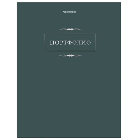 Папка-портфолио универсальная, 4 кольца, 20 файлов, 7БЦ матовая, BRAUBERG "Classic", 117554