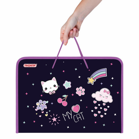 Папка для труда на молнии с ручками ПИФАГОР А4, 1 отделение, пластик, органайзер, "Leapfrog", 273388