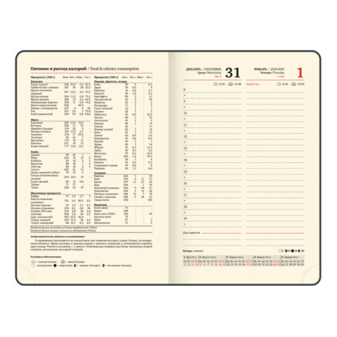 Ежедневник датированный 2026, МАЛЫЙ ФОРМАТ 100х150 мм, А6, BRAUBERG "Iguana", под кожу, коричневый, 117253