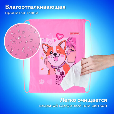 Мешок для обуви ПИФАГОР, 1 отделение, 42х34 см, "Пушистик", 272385
