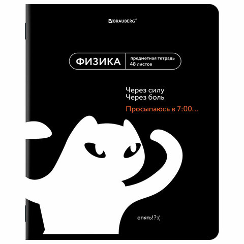 Тетради предметные, КОМПЛЕКТ 12 ПРЕДМЕТОВ, 48 л., TWIN лак, BRAUBERG "МЕМЫ", 405172