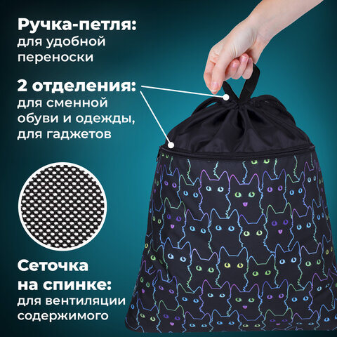 Мешок для обуви BRAUBERG БОЛЬШОЙ, с ручкой, карман на молнии, сетка, 49х41 см, "Cats", 271059