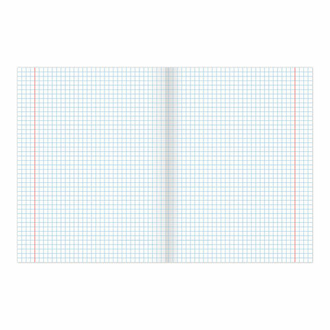 Тетрадь BRAUBERG "EXTRA" 24 л., клетка, плотная бумага 80 г/м2, обложка картон, 105710