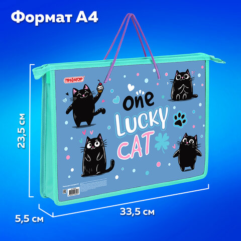 Папка на молнии с ручками ПИФАГОР А4, 1 отделение, пластик, ручки-шнурок, "Funny cats", 273353