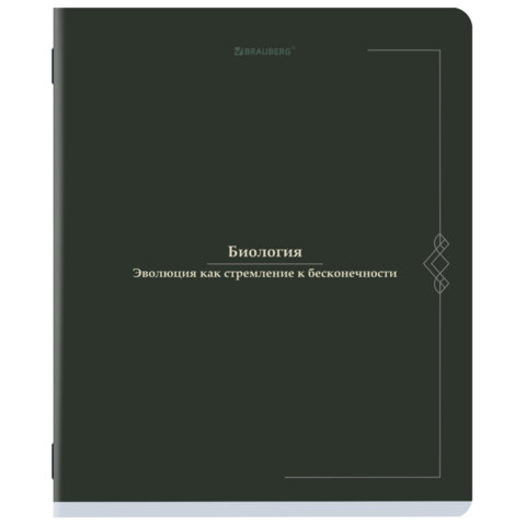 Тетради предметные, КОМПЛЕКТ 12 ПРЕДМЕТОВ, 48 л., SoftTouch, BRAUBERG "VINTAGE", 405183