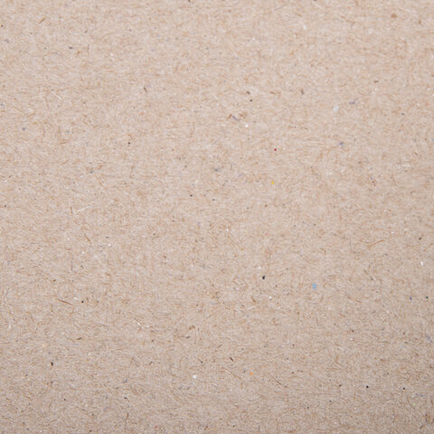 Альбом для пастели, картон СЕРЫЙ некрашенный 630 г/м2, 207х297 мм, 10 л., BRAUBERG ART CLASSIC, 105916