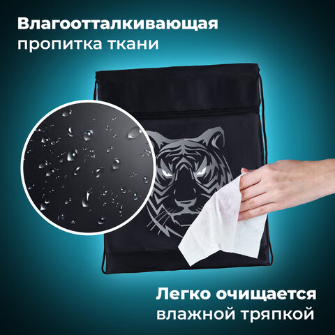 Мешок для обуви BRAUBERG, с петлёй, карман на молнии, 47х37 см, "Tiger", 271610