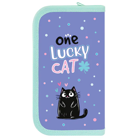 Пенал ПИФАГОР, 2 отделения, ламинированный картон, 19х11 см, "Funny cats", 273481
