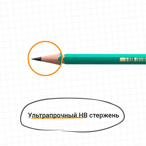 Карандаш чернографитный BIC, 1 шт., "Evolution", HB, корпус зеленый, 8803112