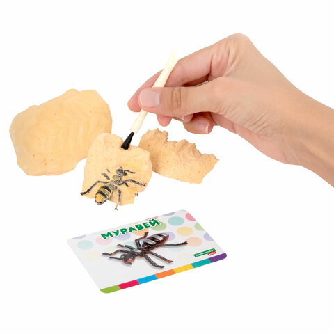 Набор для раскопок "Насекомые", 12 видов, карточки, инструменты, BRAUBERG KIDS, 665127