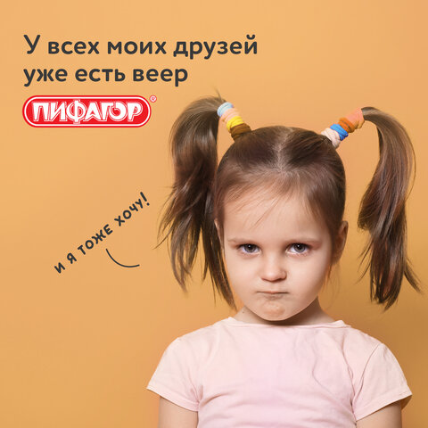 Веер-касса (слоги) ПИФАГОР, 227391