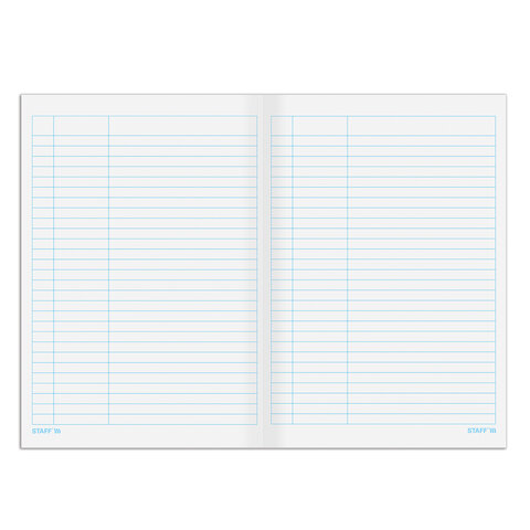 Книга учета 48 л., пустографка, обложка из мелованного картона, блок офсет, А4 200х290 мм, STAFF, 130212