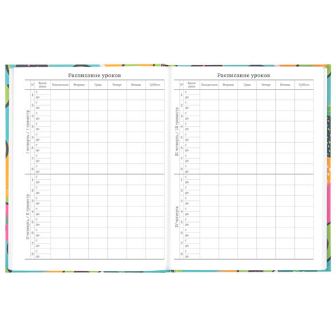 Дневник 5-11 класс 48 л., твердый, BRAUBERG, блестки, с подсказом, "Avocado", 106419