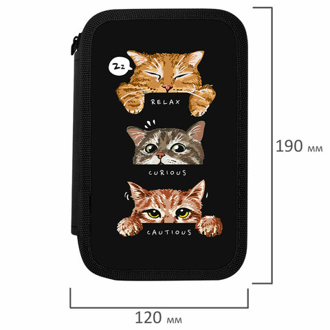 Пенал ПИФАГОР, 3 отделения, ламинированный картон, 19х11 см, "Cool trio", 273486