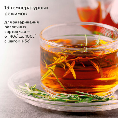 Чайник электрический с двойными стенками BQ (БИ-КЬЮ) KT1801SW, 1,7 л, 2200 Вт, ТЕРМОРЕГУЛЯТОР, черный, 86198284