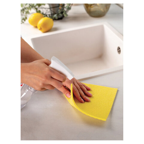 Салфетки целлюлозные (губчатые) 18х18 см, КОМПЛЕКТ 2 шт., PACLAN "Practi ECO absorb", ш/к3621, 410164