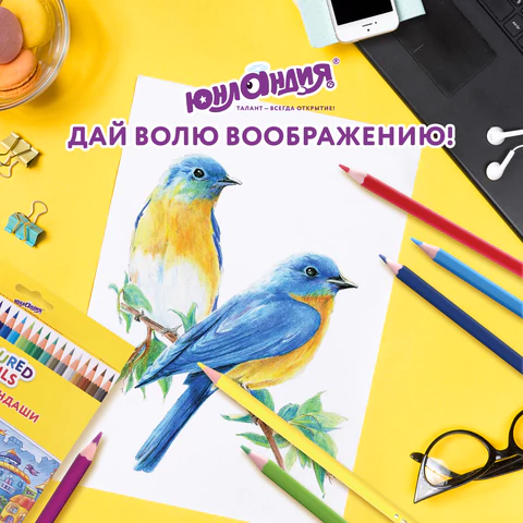 Карандаши цветные ЮНЛАНДИЯ "ДОМИКИ", 24 цвета, шестигранные, грифель 3 мм, 181838