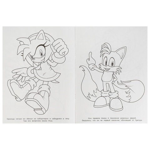 Книжка-раскраска "ЛИЦЕНЗИОННЫЕ СЮЖЕТЫ", АССОРТИ, 210х290 мм, 16 страниц, "УМКА"