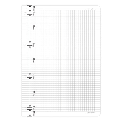 Сменный блок для тетради на кольцах БОЛЬШОЙ ФОРМАТ А4 120 л., BRAUBERG, ПОВЫШЕННОЙ ПЛОТНОСТИ, белый, 404516