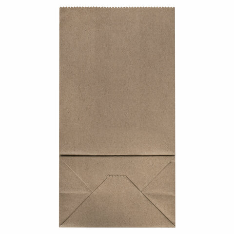 Крафт-пакет бумажный 18х12х29 см, КОМПЛЕКТ 100 шт., плотность 90 г/м2, LAIMA ECO CRAFT, 609683