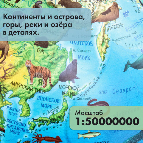 Глобус зоогеографический GLOBEN "Классик Евро", 25 см, с подсветкой, детский, Ке012500270