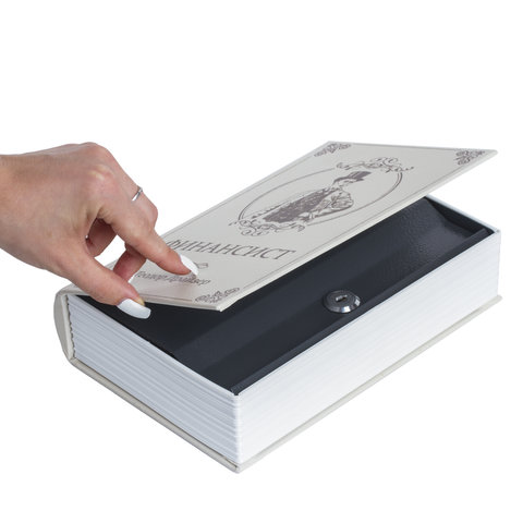 Сейф-книга "ФИНАНСИСТ", 60х170х240 мм, ключевой замок, BRAUBERG, 291057
