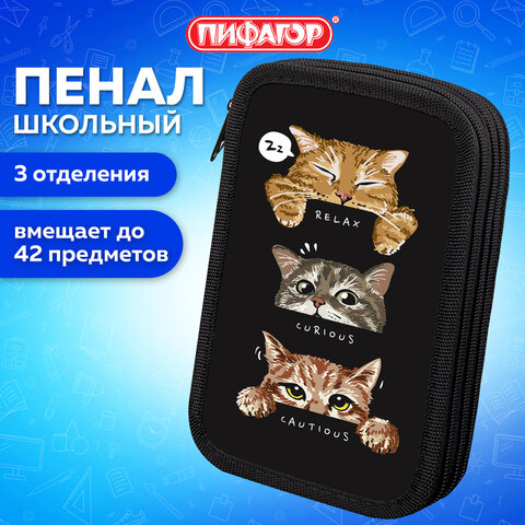 Пенал ПИФАГОР, 3 отделения, ламинированный картон, 19х11 см, "Cool trio", 273486