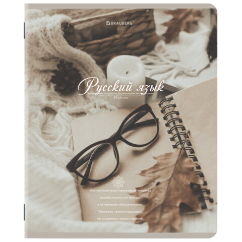 Тетради предметные, КОМПЛЕКТ 12 ПРЕДМЕТОВ, 48 л., SoftTouch, BRAUBERG, "ESTHETICS", 404833